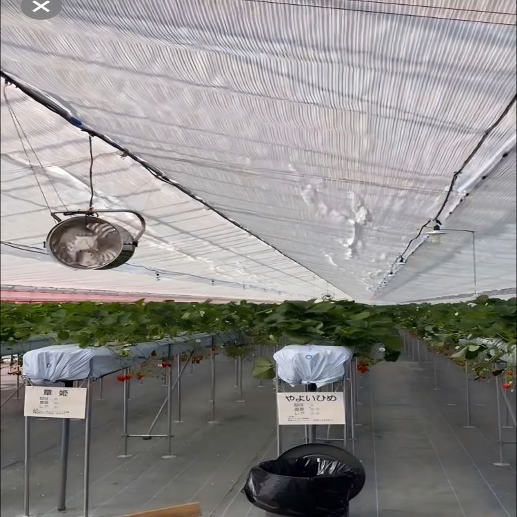 Automatic Greenhouse Shading System